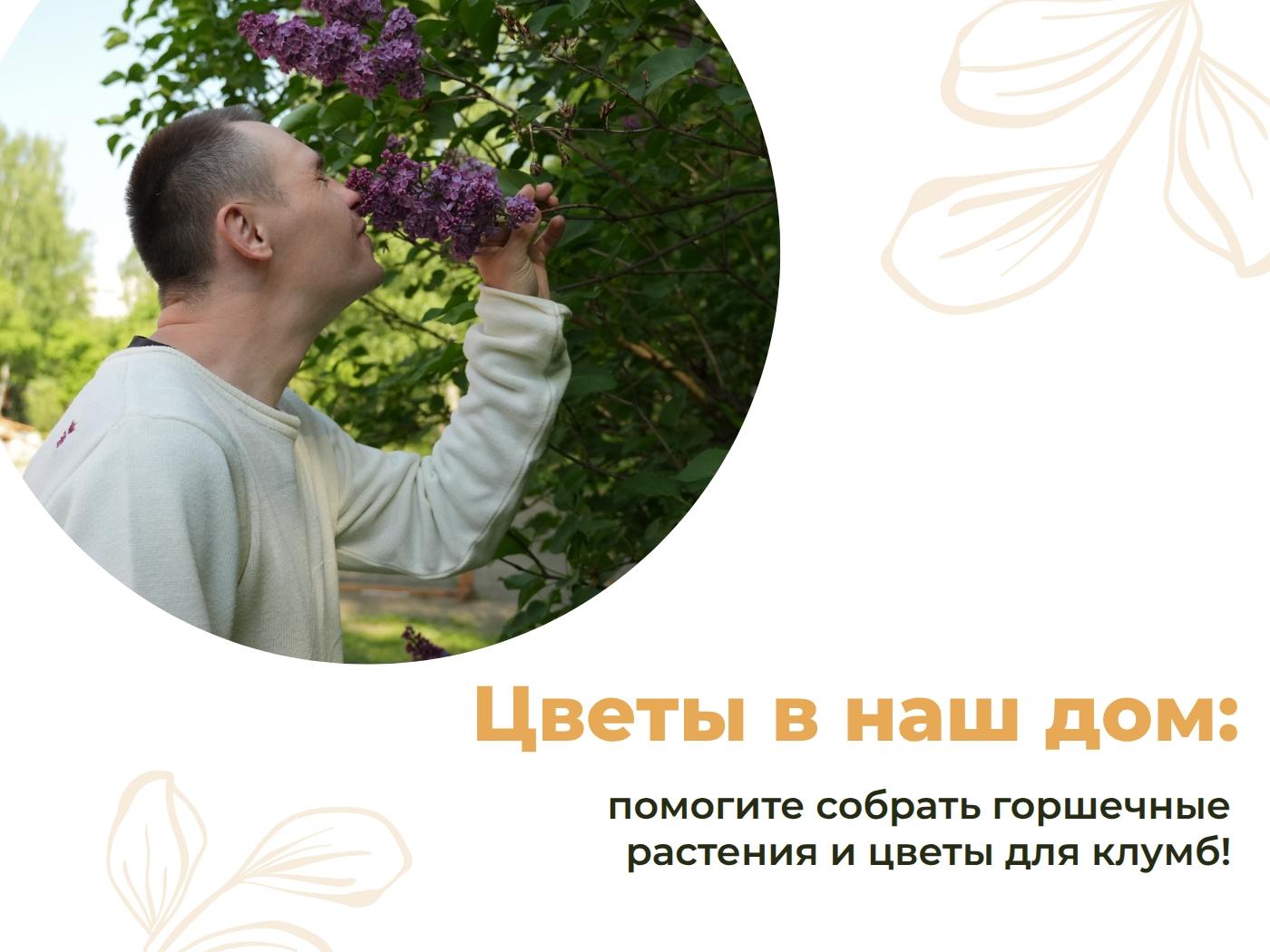 Объявляем сбор цветов и кустарников!