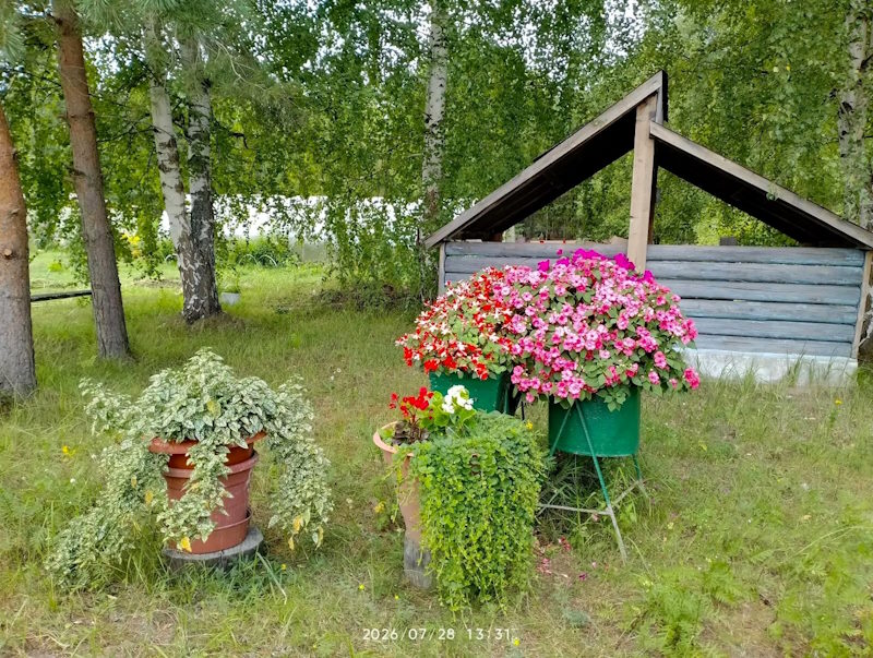 Огород — это не только про урожай! 