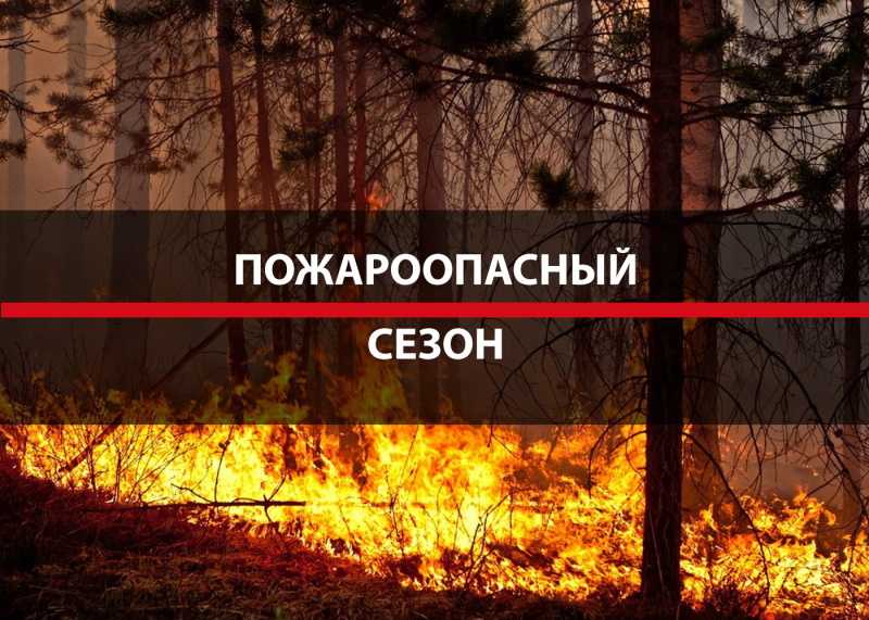 В лесах Нижегородской области с 17 апреля объявлен пожароопасный сезон!