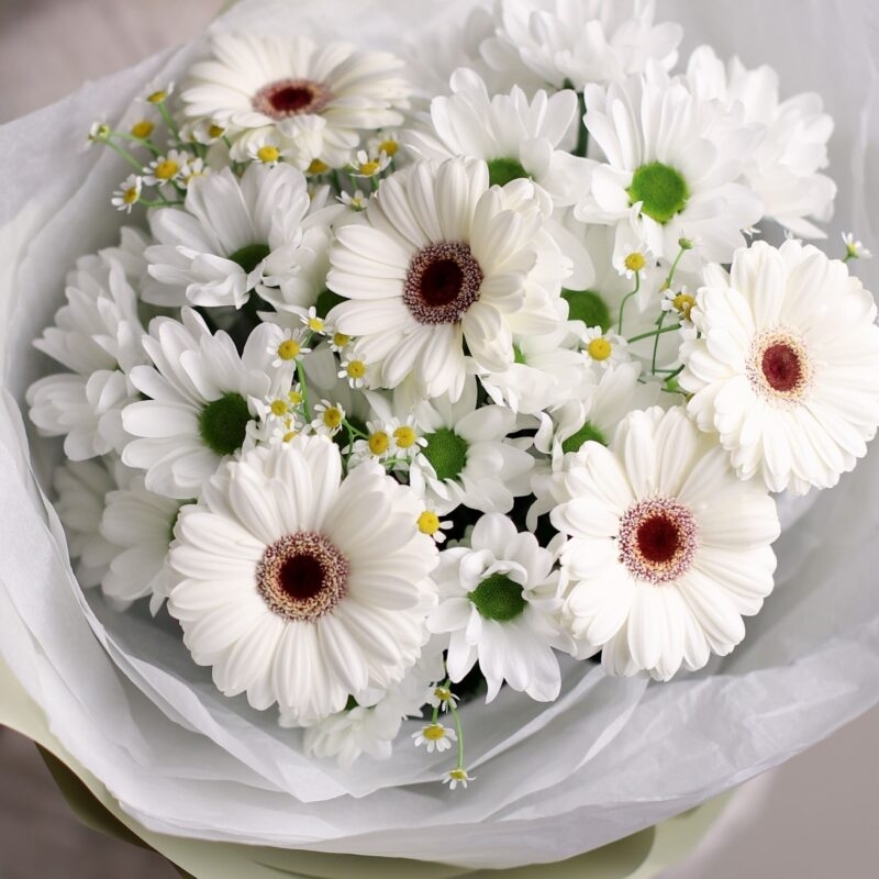 Поздравляем с Днем Рождения получателя социальных услуг.