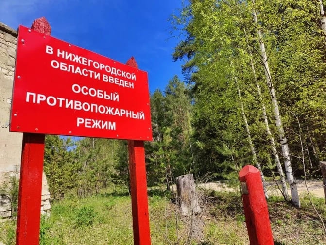 Как отдохнуть в лесу и не стать случайным виновником пожара?