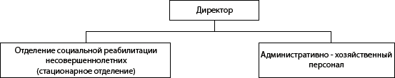 Структура ГКУ «СРЦН «Родник» Пильнинского района»