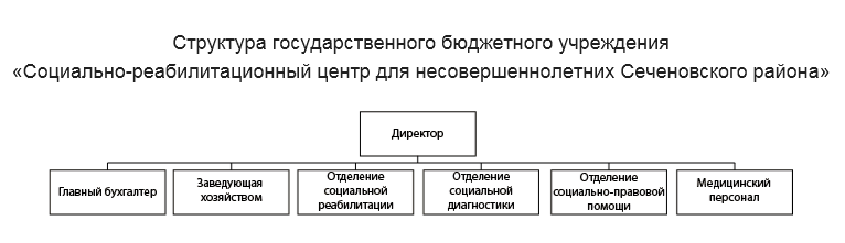 Структура государственного бюджетного учреждения «Социально-реабилитационный центр для несовершеннолетних Сеченовского района»