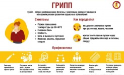 Друзья, с наступлением холодов важно не забывать о профилактике гриппа и ОРВИ!