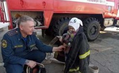 Сегодня воспитанники ГБУ «ОСРЦН «Бригантина» посетили пожарную часть № 74 I пожарно-спасательного отряда ФПС ГПС главного управления МЧС России по Нижегородской области.