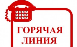 Внимание! Горячая телефонная линия «Твоя жизнь - твой выбор»!