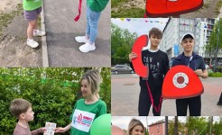 Парк Гайдара: Территория доверия и поддержки