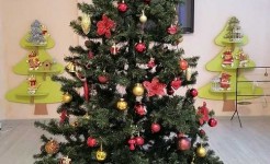 Начался новый реабилитационный год