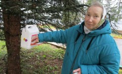 Подарим кормушки зимующим птицам