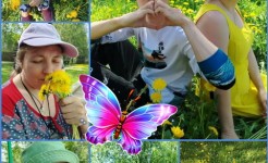 Весенняя прогулка по цветочной поляне