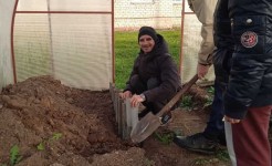 ?Создание грядок в теплице