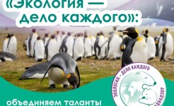 Информация!