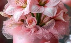 Поздравляем с Днём Рождения