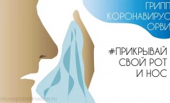 Осторожно грипп!