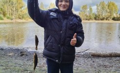 Поход на пруд