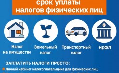 Напоминаем: срок уплаты имущественных налогов — до 1 декабря 2025 года!