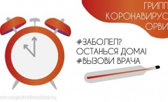 Профилактика гриппа