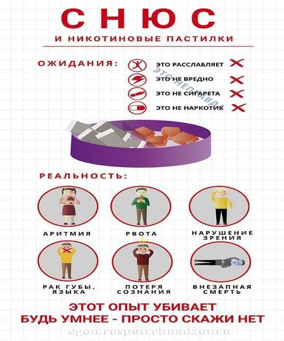 СНЮС некурительное бездымное табачное изделие