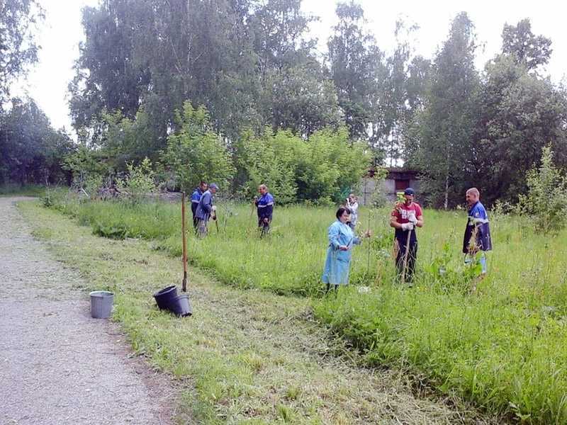 Совместно с волонтерами  прошла акция «Лес Победы»