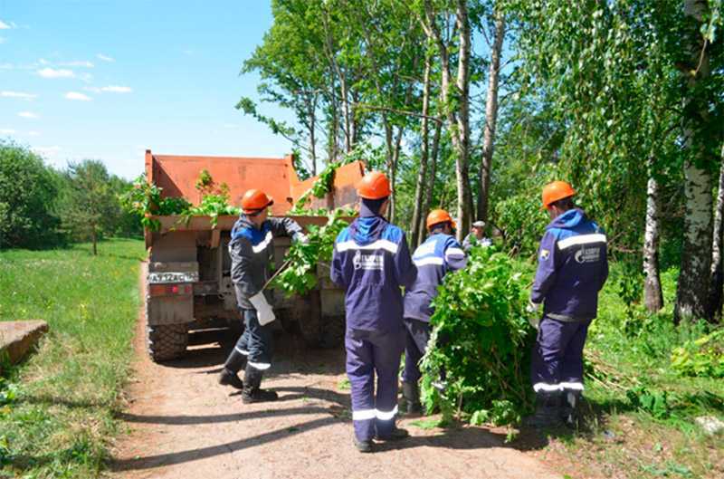 Благотворительная акция по озеленению прилегающей территории учреждения «Пусть цветут сады»