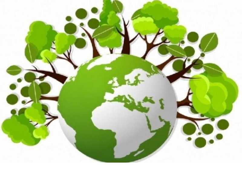 Областная экологическая акция «Зеленый день»