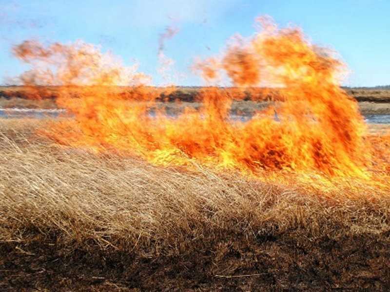 Возгорание травы