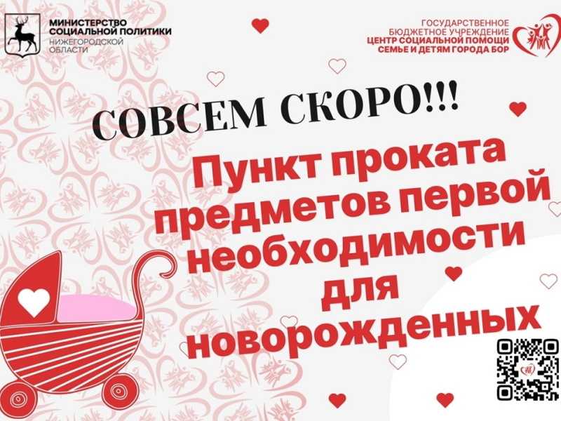 Пункт проката предметов первой необходимости для новорожденных