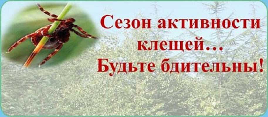 Внимание, сезон активности клещей!