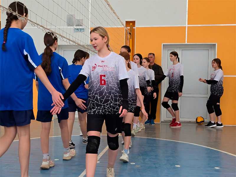 Дружеская встреча команд по волейболу