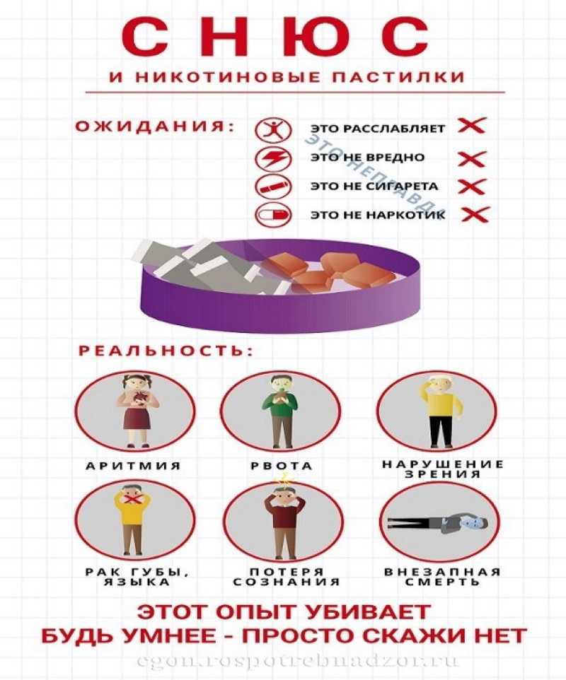 СНЮС некурительное бездымное табачное изделие