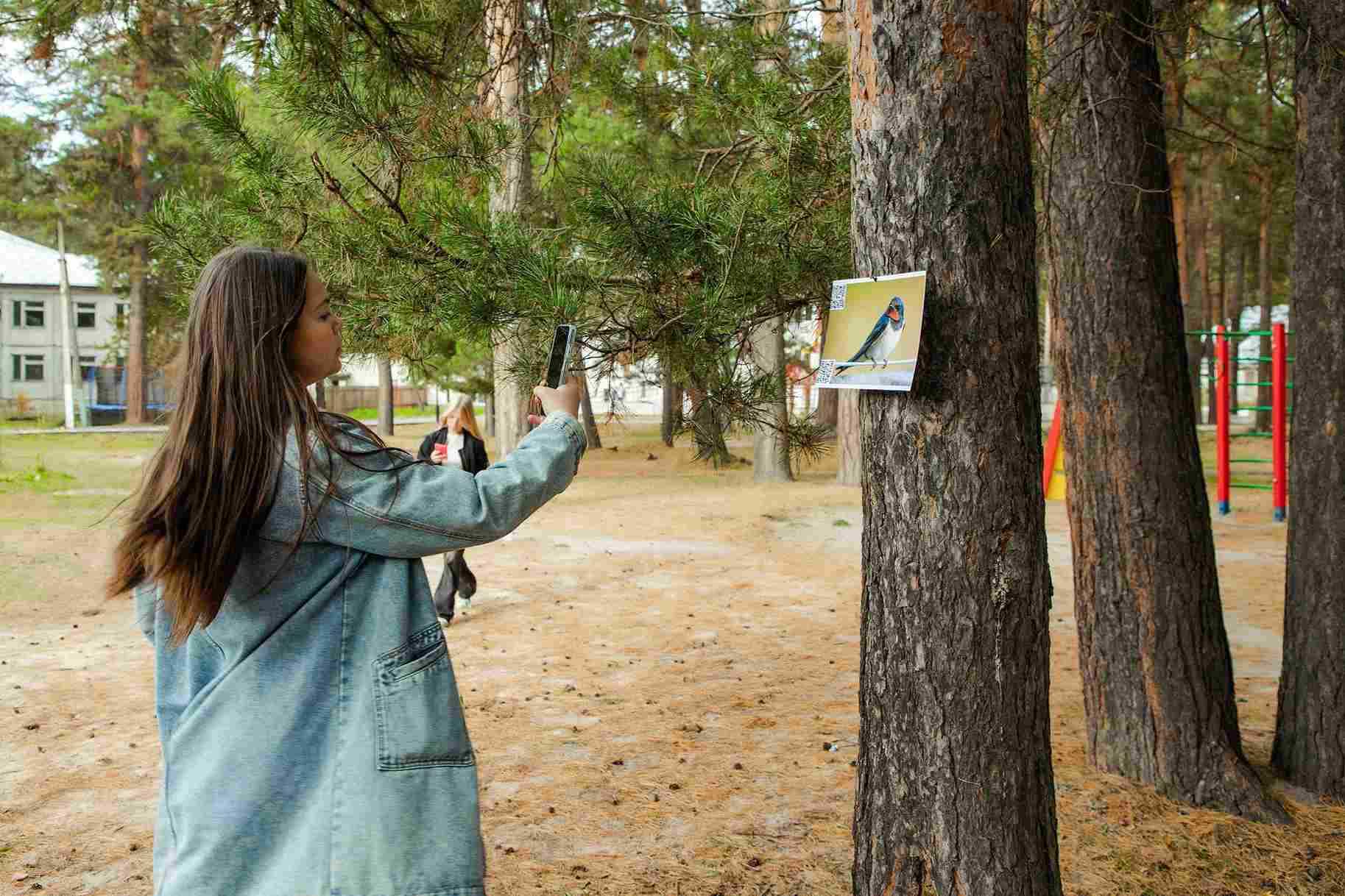 КВЕСТ «Птицы золотой осени»