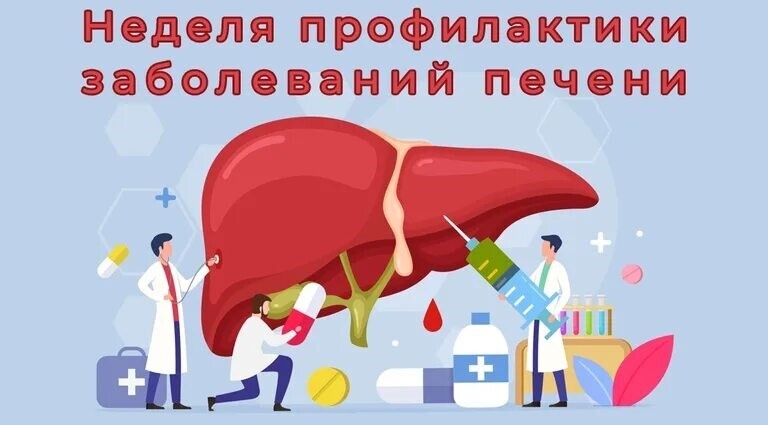 27 июля – 2 августа Неделя профилактики заболеваний печени (в честь Международного дня борьбы с гепатитом 28 июля)