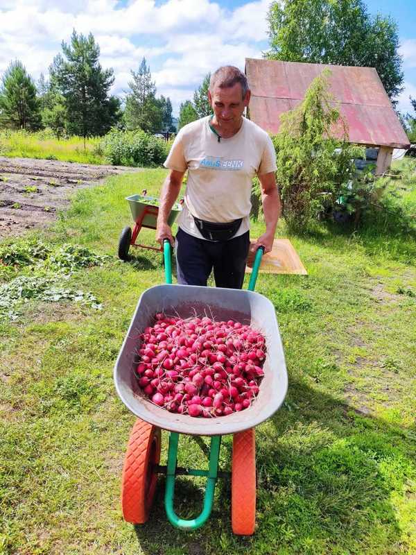 Лето нас радует!