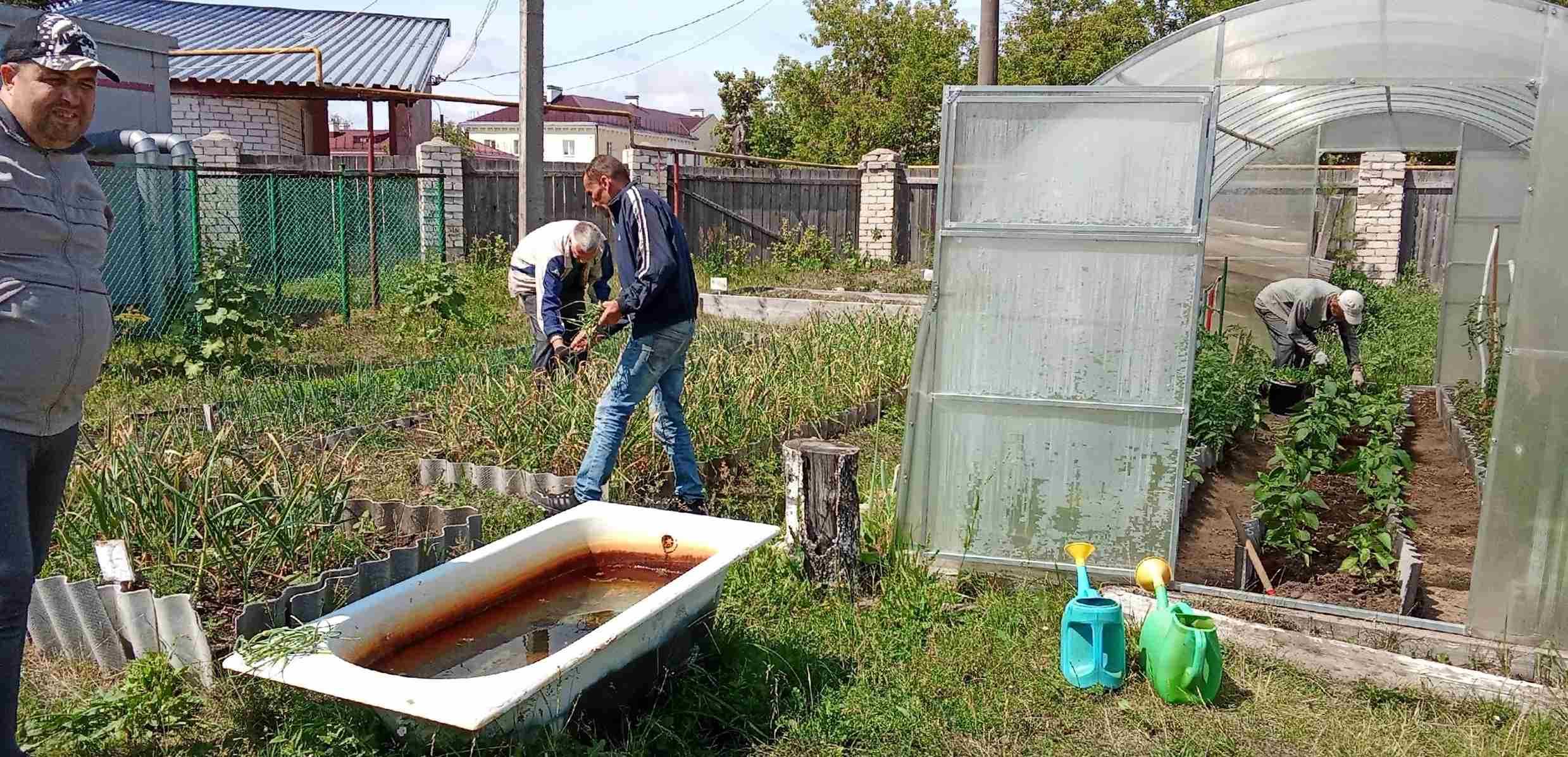 «Мой любимый огород»