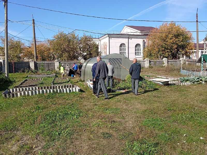 «Мой любимый огород»