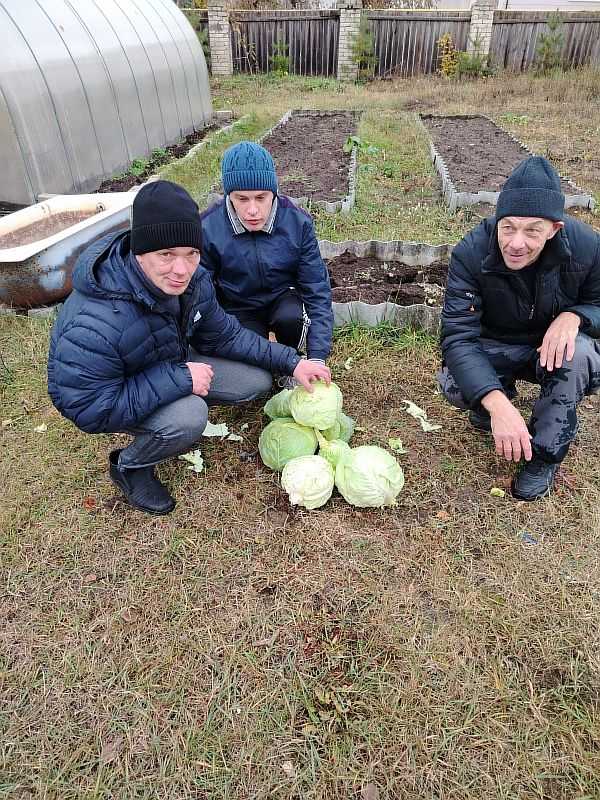 Огородники с заботой о будущем.