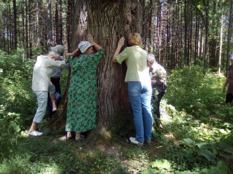 Экскурсия к дубу желаний