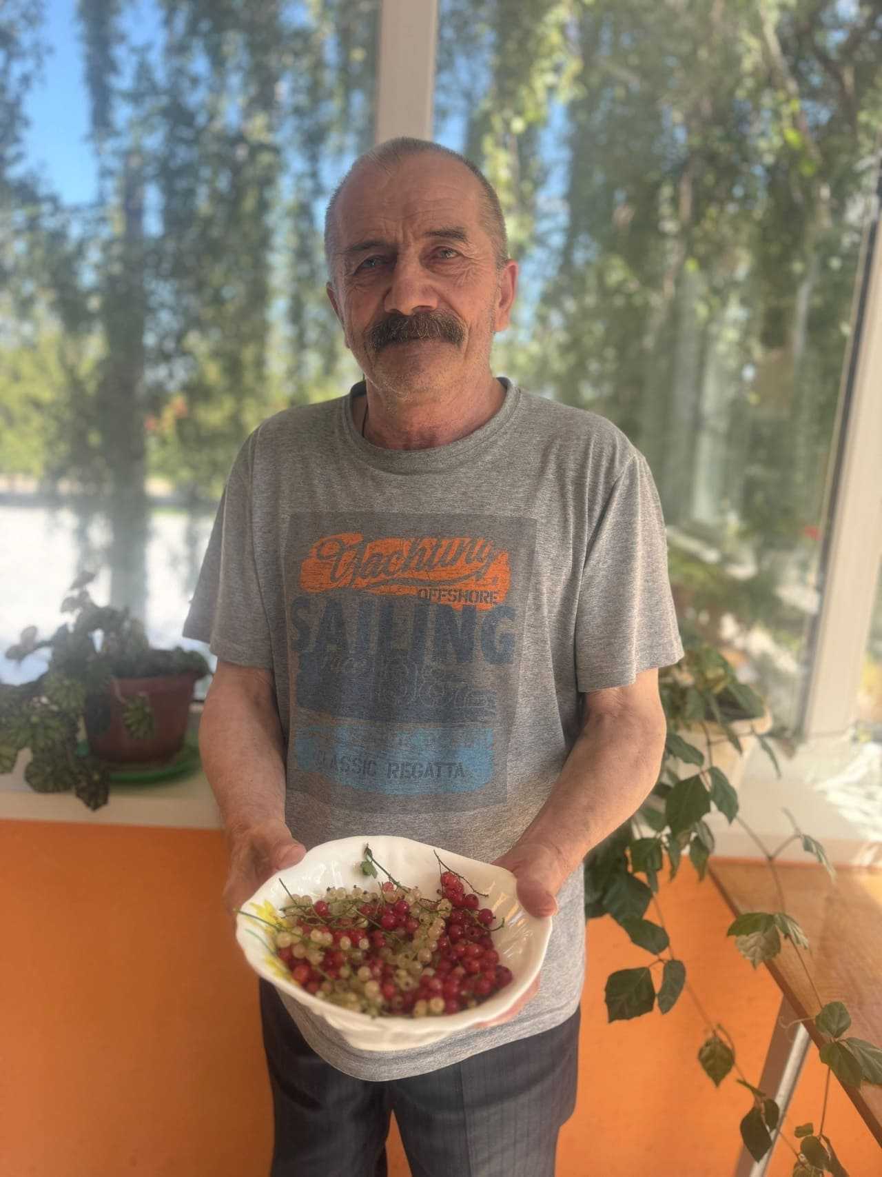 День смородины