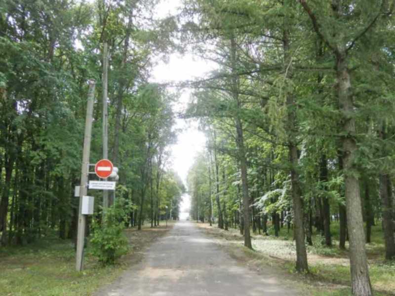 Формирование городской среды