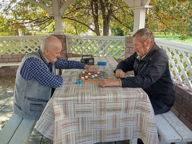 Шашки