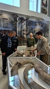 Экскурсия в Тонкинский народный краеведческий музей