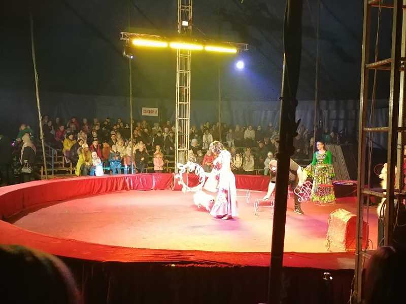  Воскресный вечер для воспитанников Центра закончился посещением цирка - шапито «Империя хищников»