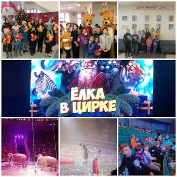 посещение Нижегородского цирка 