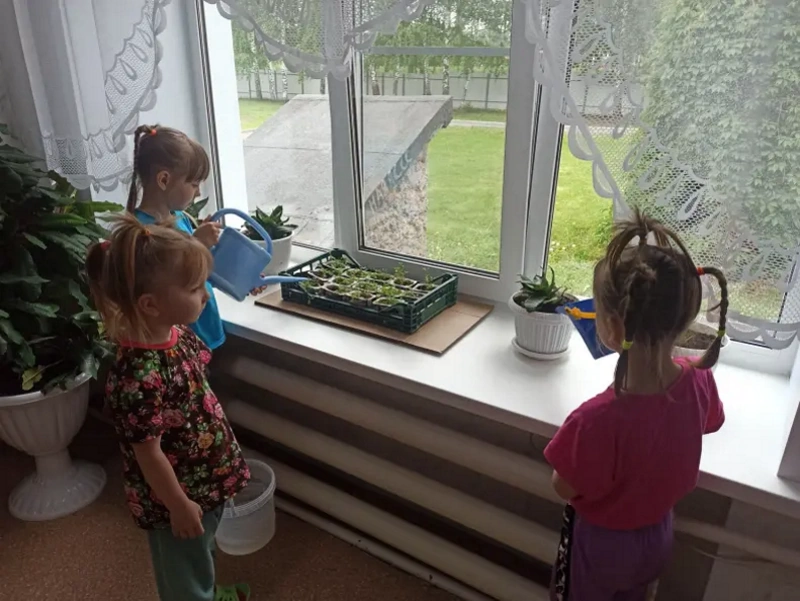 Любимое занятие!