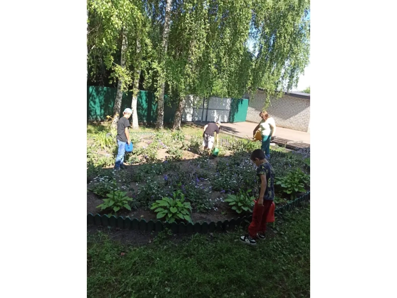 Садовые будни)