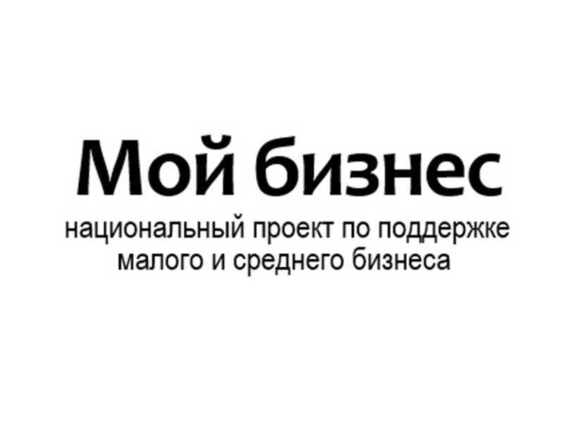 Проект «Популяризация предпринимательства в Нижегородской области»
