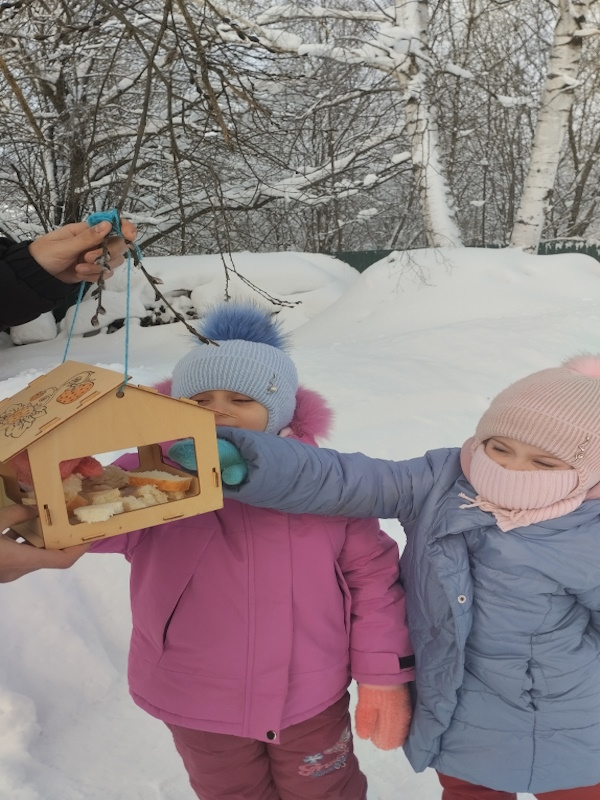 ДЕНЬ ЗИМУЮЩИХ ПТИЦ