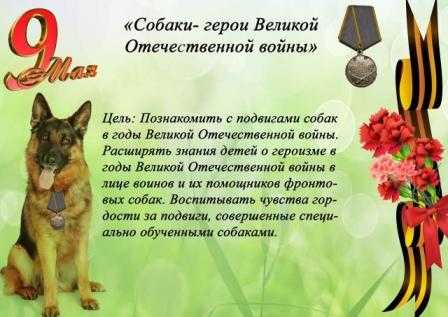 Собаки – герои Великой Отечественной войны