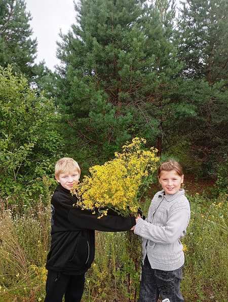 Прогулка в лес