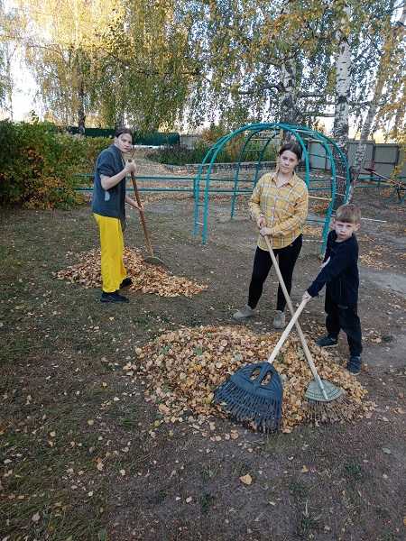 « Уборка листьев»